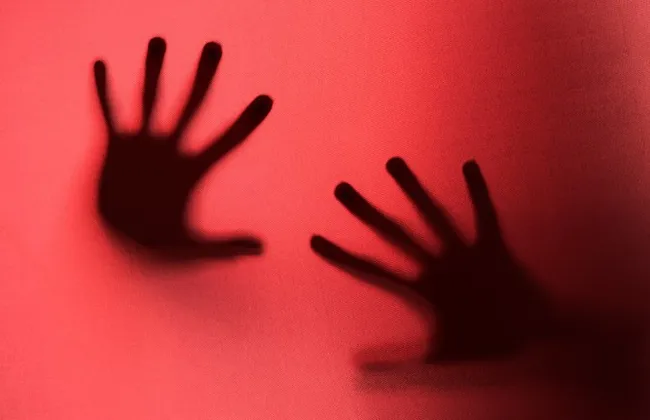 Imagem ilustrativa da imagem 