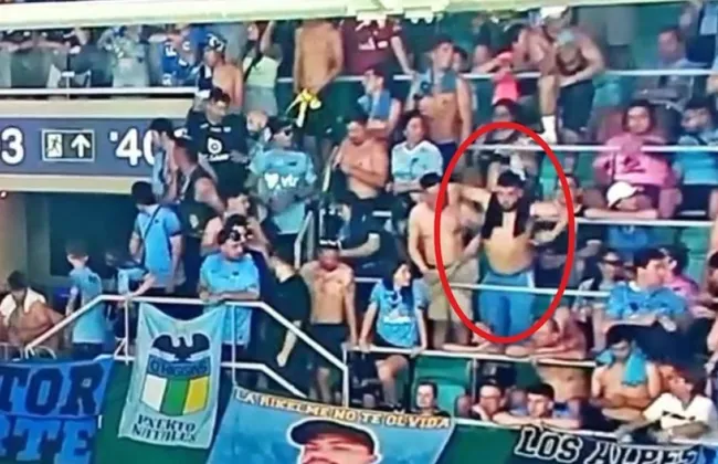 Imagem ilustrativa da imagem 