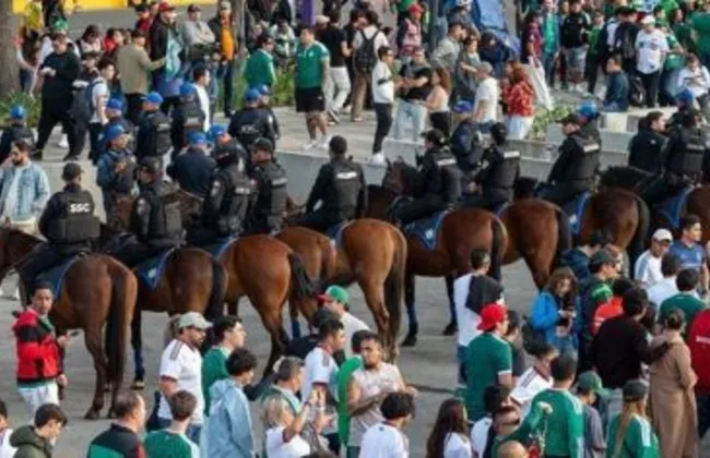 Imagem ilustrativa da imagem 