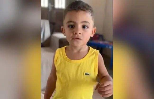 Imagem ilustrativa da imagem 