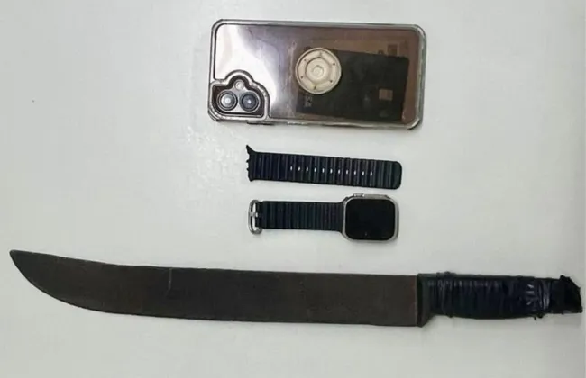 Imagem ilustrativa da imagem 