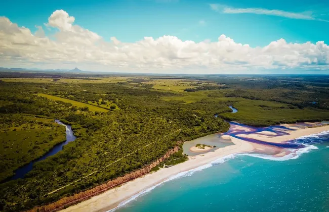 Imagem ilustrativa da imagem 