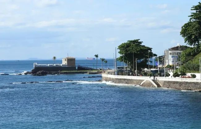 Imagem ilustrativa da imagem 