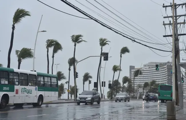 Imagem ilustrativa da imagem 