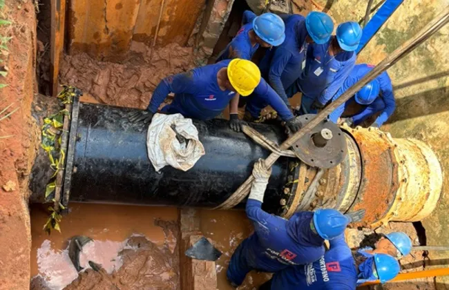 Imagem ilustrativa da imagem 