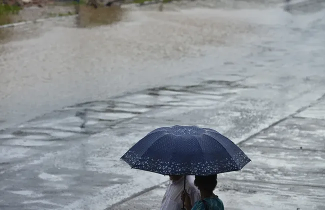 Imagem ilustrativa da imagem 