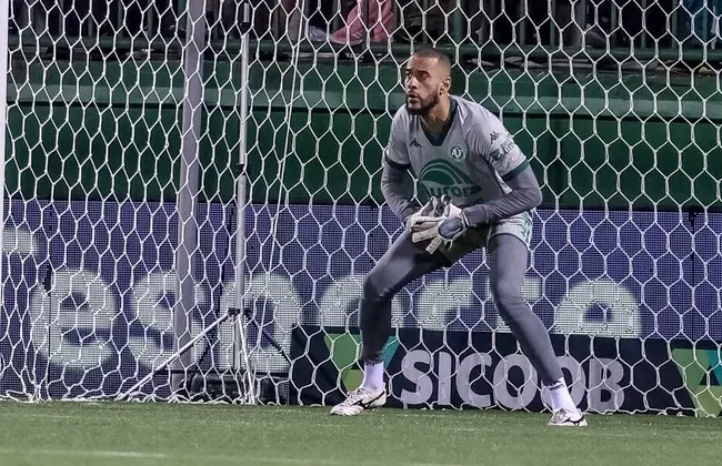 Imagem ilustrativa da imagem 