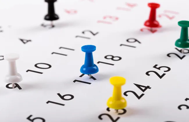 Imagem ilustrativa da imagem 