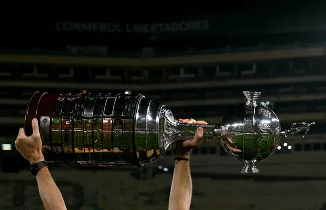 Imagem ilustrativa da imagem 