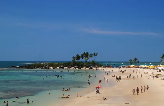 Imagem ilustrativa da imagem 