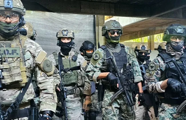 Imagem ilustrativa da imagem 