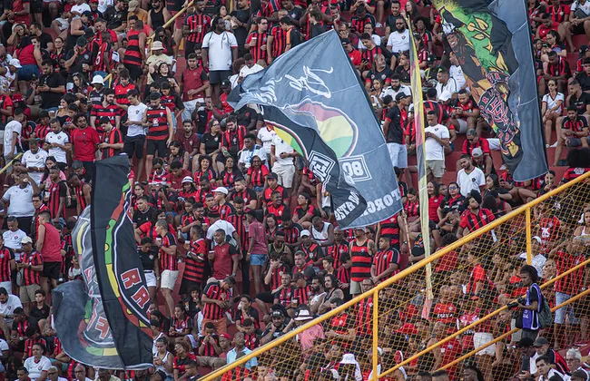 Imagem ilustrativa da imagem 