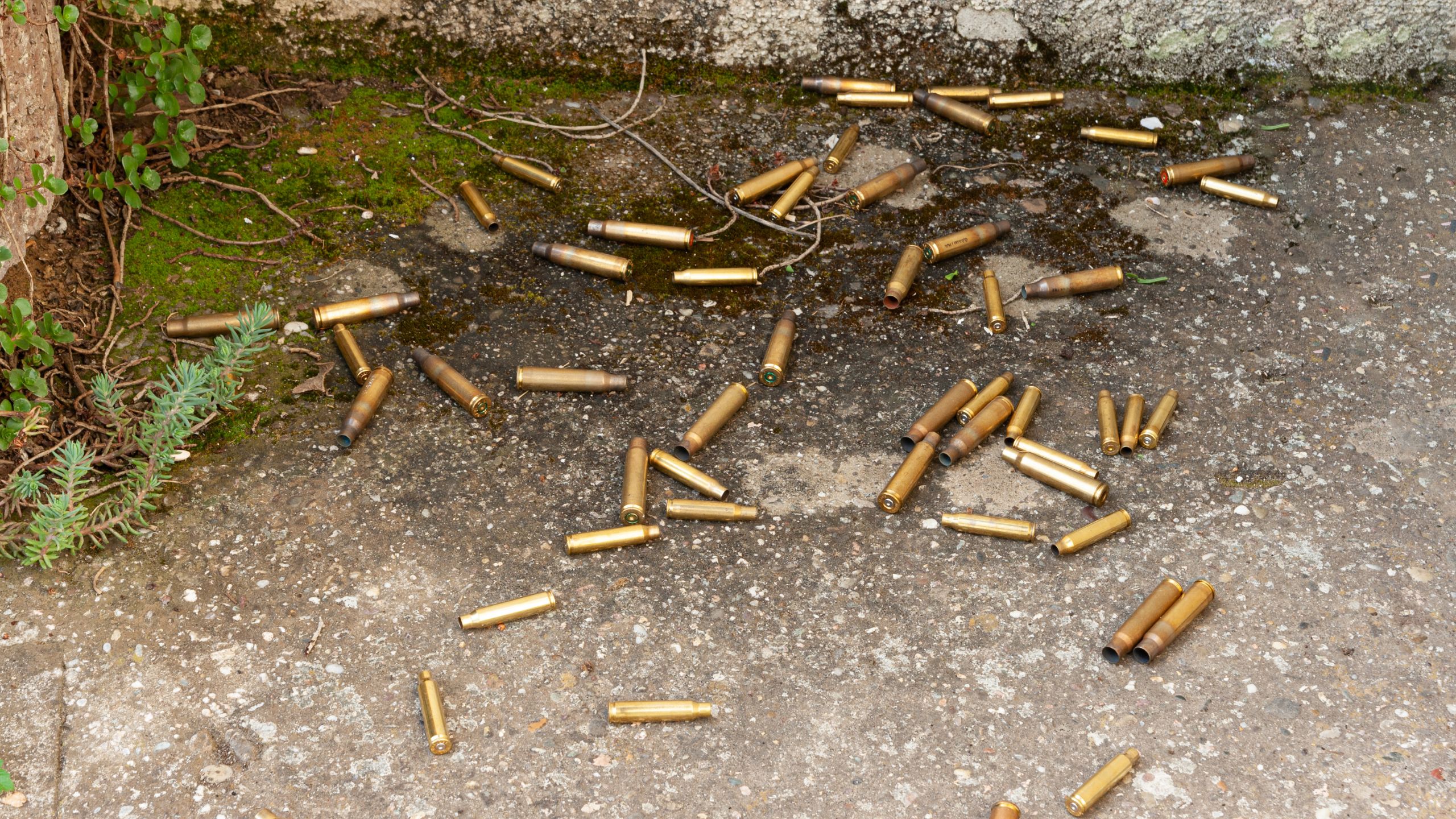 Homem é baleado e enforcado por suspeita de divulgar fotos da ex ...