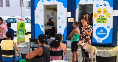 Imagem ilustrativa da imagem Castramóvel oferece castração gratuita de pets em Salvador; veja
