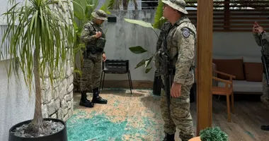 Imagem ilustrativa da imagem Macaco invade casas no Alphaville e ataca policiais; veja