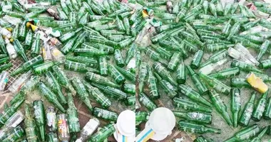 Imagem ilustrativa da imagem Mais de 260 garrafas de cerveja são retiradas em mar de Salvador