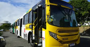 Imagem ilustrativa da imagem Ônibus sem dinheiro: rodoviários marcam passeata e propõem realocar cobradores em Salvador