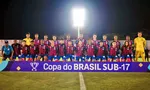 Imagem ilustrativa da imagem 