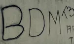 Imagem ilustrativa da imagem 