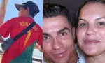Imagem ilustrativa da imagem 