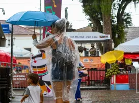 ‘Cacaunarval' ? Toró caiu 'de com força' na folia em Salvador - Imagem