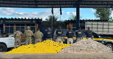 Imagem ilustrativa da imagem PRF apreende carregamento milionário de cocaína na Bahia
