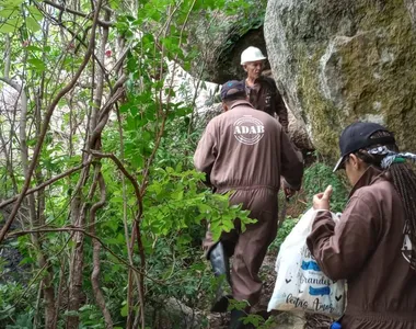 Agentes realizando o monitoramento