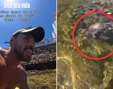 Rato morto é visto boiando na praia do Farol da Barra