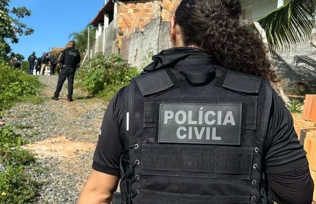 Imagem ilustrativa da imagem 