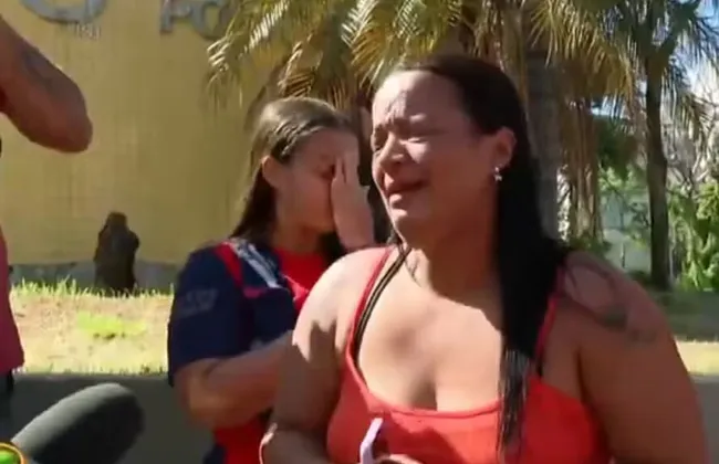 Imagem ilustrativa da imagem 