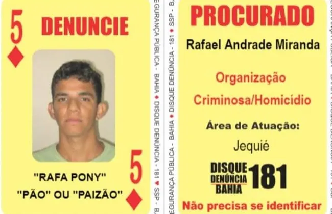 Imagem ilustrativa da imagem 
