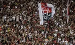 Imagem ilustrativa da imagem 
