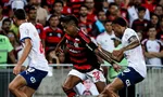 Imagem ilustrativa da imagem 