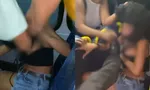 Imagem ilustrativa da imagem 