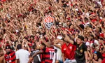 Imagem ilustrativa da imagem 