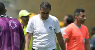 Imagem ilustrativa da imagem Já? Na calada da noite, Botafogo anuncia demissão de Renato Paiva