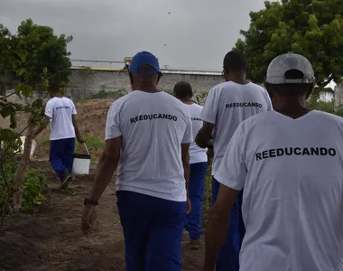 Projeto leva pesa de tilápias para famílias do Bahia sem Fome