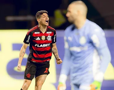 Mengão bateu o Palmeiras dentro do Allianz Parque