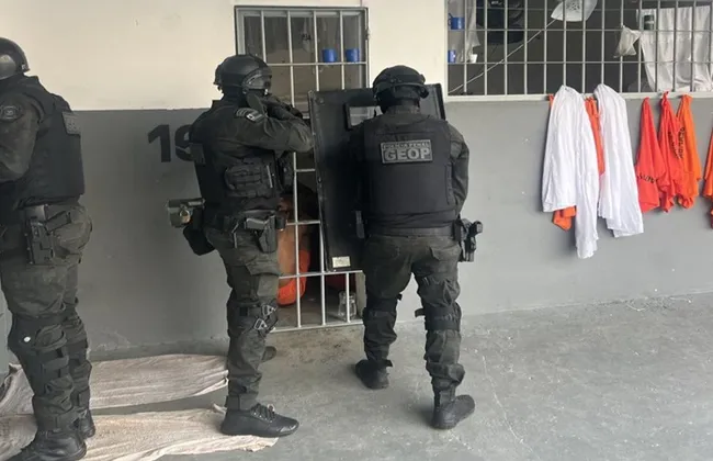 Imagem ilustrativa da imagem 