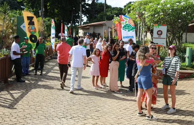 Imagem ilustrativa da imagem 