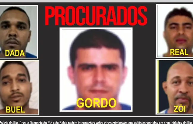 Imagem ilustrativa da imagem 