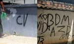 Imagem ilustrativa da imagem 