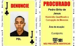 Imagem ilustrativa da imagem 