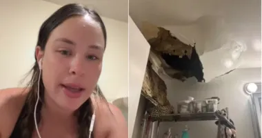 Imagem ilustrativa da imagem Baratas invadem apartamento, derrubam teto e moradora precisa fugir
