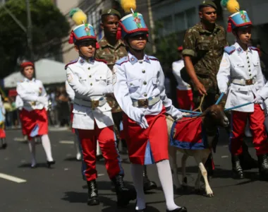 Saiba tudo sobre o Desfile de 7 de Setembro em Salvador