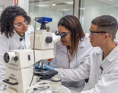 Programa promove a inclusão social e entrada de talentos no mercado de trabalho
