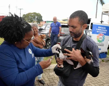 Até o momento, 34.526 animais foram imunizados