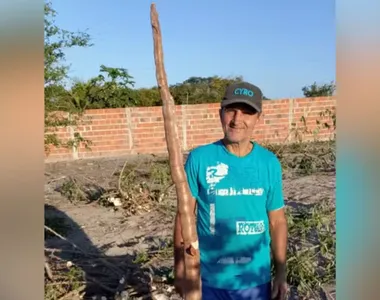 Railton Santana, de 57 anos, colheu uma mandioca tamanho 'GG' em seu terreno