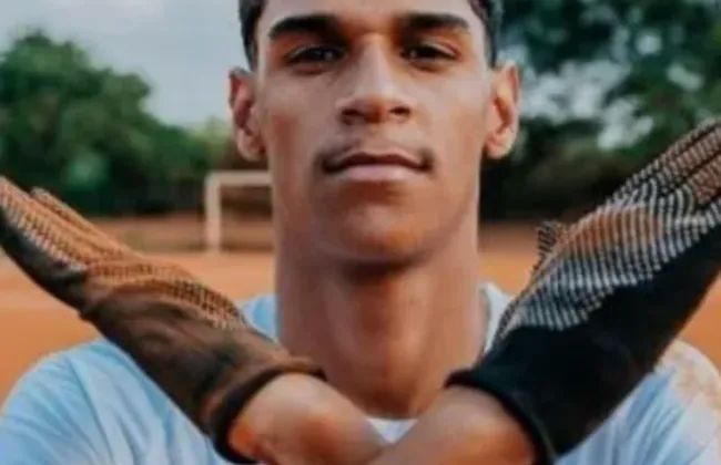 Imagem ilustrativa da imagem 