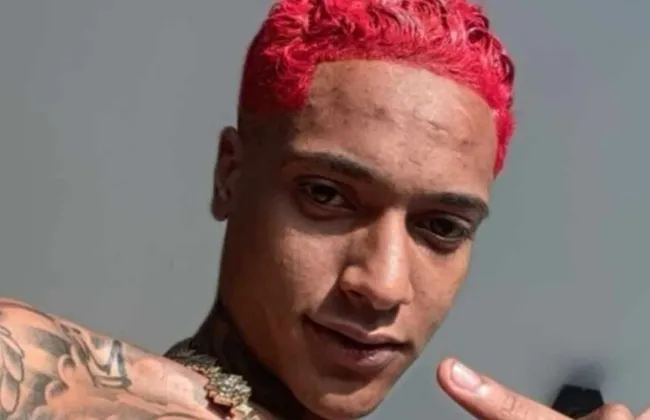 Imagem ilustrativa da imagem 
